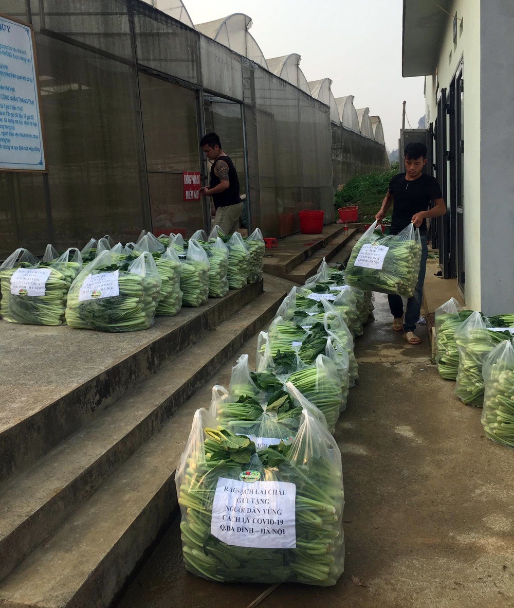 Chủ doanh nghiệp ở Lai Châu gửi hàng tấn rau ủng hộ người dân khu cách ly dịch Covid-19 ở Hà Nội - Ảnh 3.