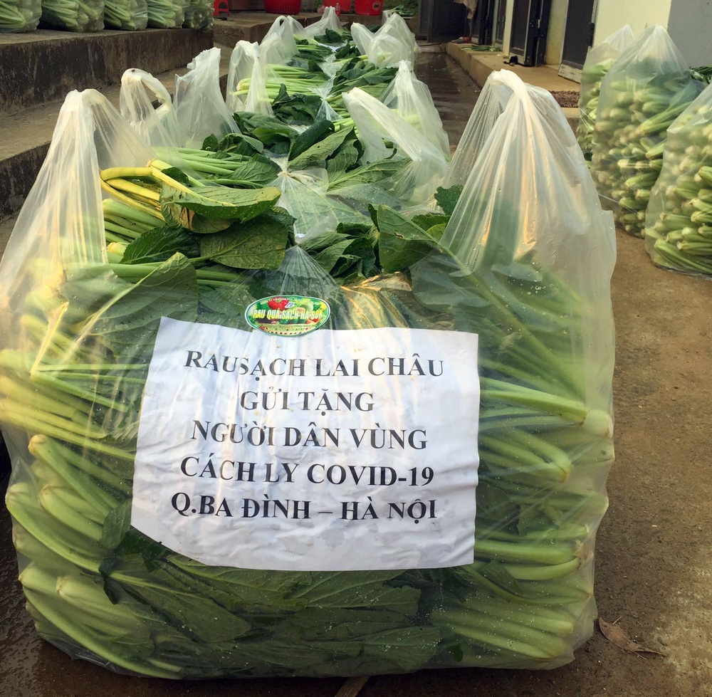 Chủ doanh nghiệp ở Lai Châu gửi hàng tấn rau ủng hộ người dân khu cách ly dịch Covid-19 ở Hà Nội - Ảnh 1.