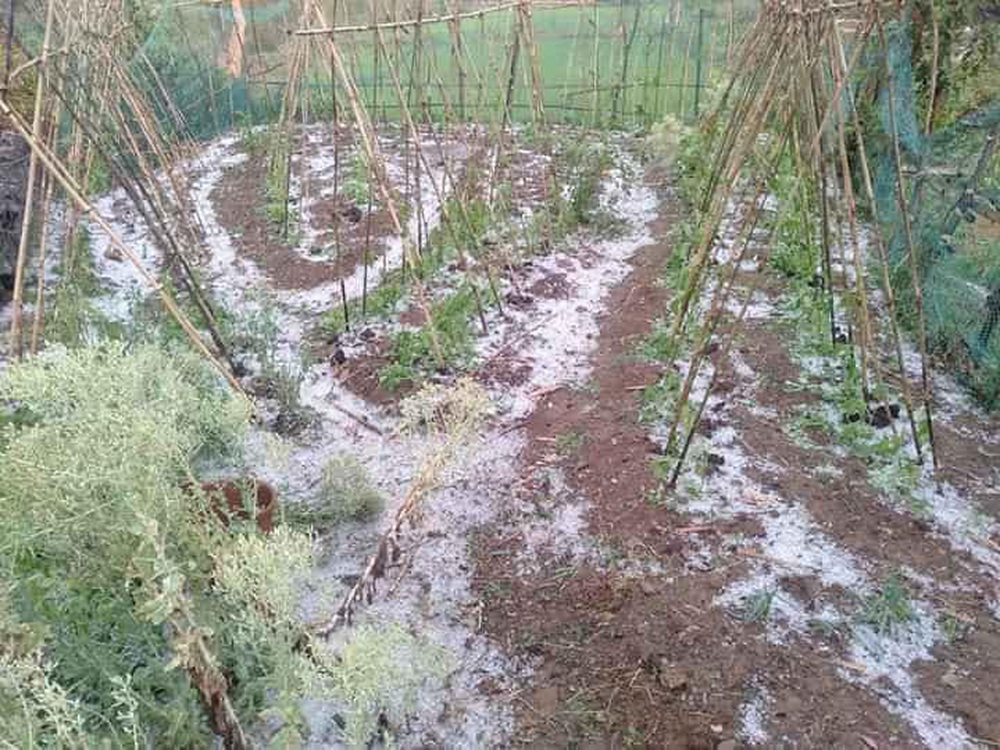Mưa đá phủ trắng ruộng vườn ở Điện Biên, Sơn La, Hòa Bình - Ảnh 1.