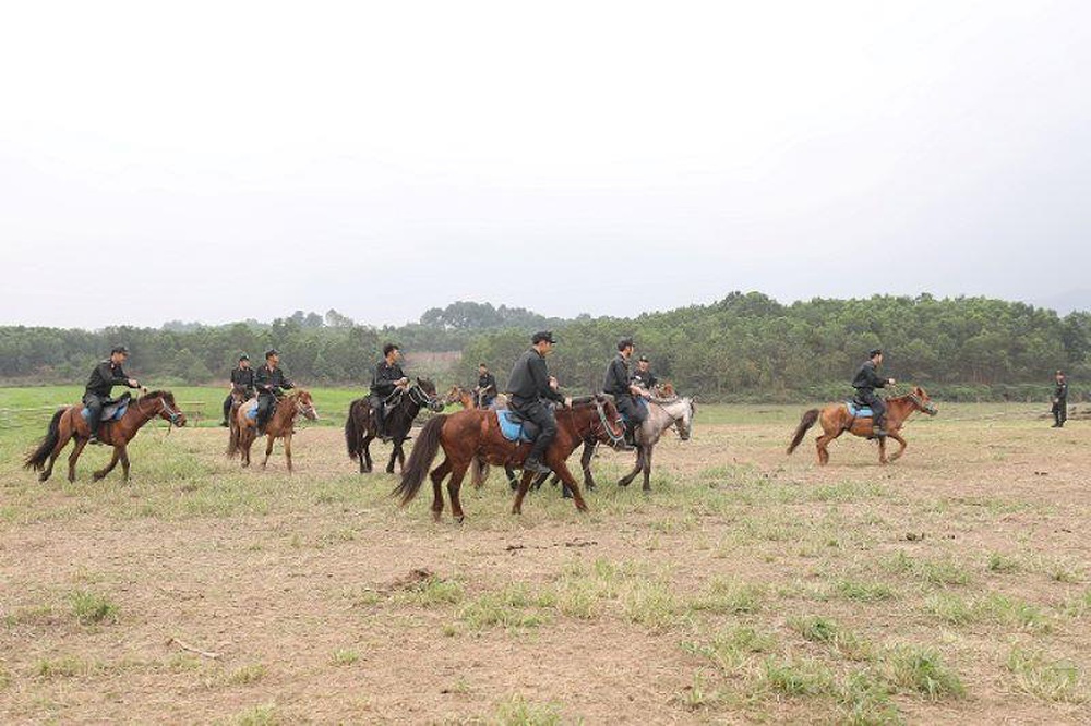 Bộ trưởng Tô Lâm thăm chuyên gia huấn luyện kỵ binh - Ảnh 2.