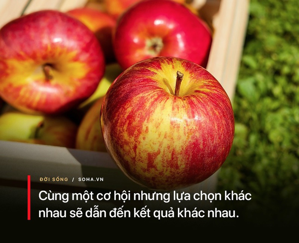 Từ chuyện quả táo, có thể nhận biết một người sẽ giàu hay nghèo: Nên tham khảo nếu muốn trở nên giàu có - Ảnh 4.