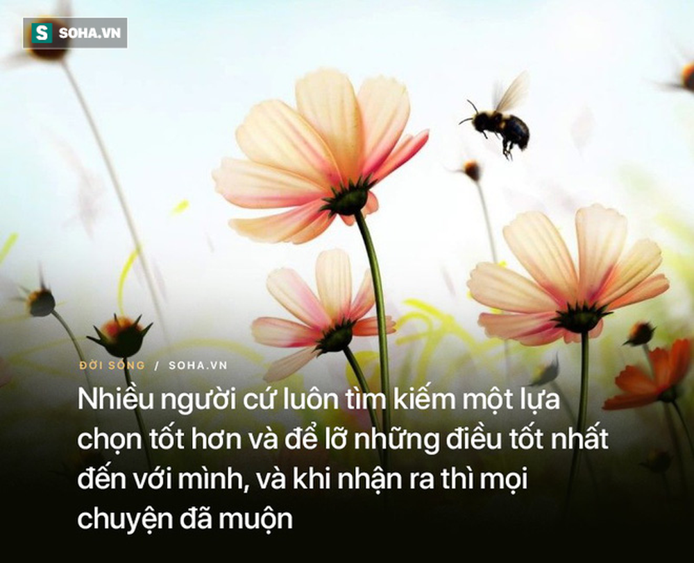 Đức Phật hỏi Đời người dài bao lâu, câu trả lời của 1 môn đồ khiến nhiều người giật mình - Ảnh 3.