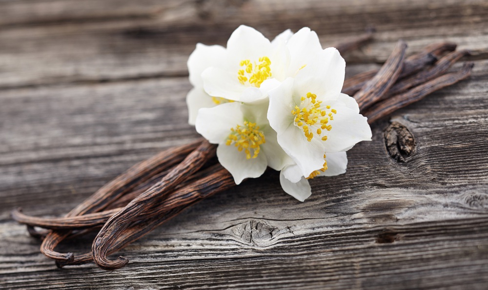 8 loại hương hoa có thể giúp diệt và xua đuổi muỗi trong nhà thích hợp cho chị em dùng vào những ngày hè - Ảnh 2.