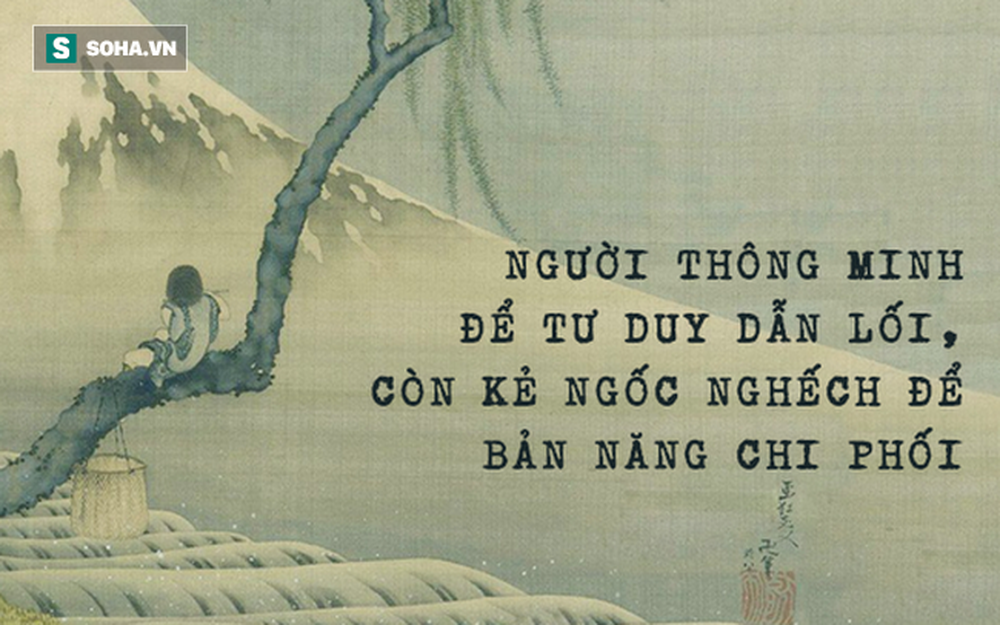 Làm việc cần mẫn nhưng vẫn thua kém bạn bè, nhờ 1 lời cảnh tỉnh lúc 2h sáng, người đàn ông làm nên đại sự - Ảnh 4.