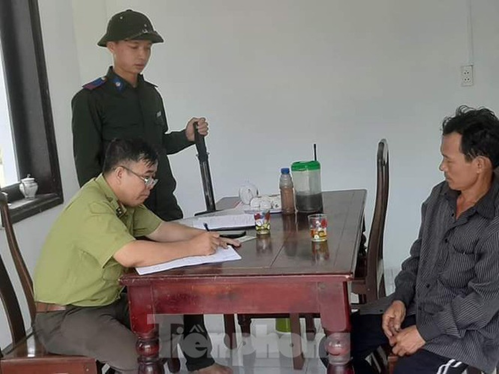 Thả hàng chục cá thể chim Gầm Ghì lưng nâu săn bẫy trái phép về môi trường tự nhiên - Ảnh 2.