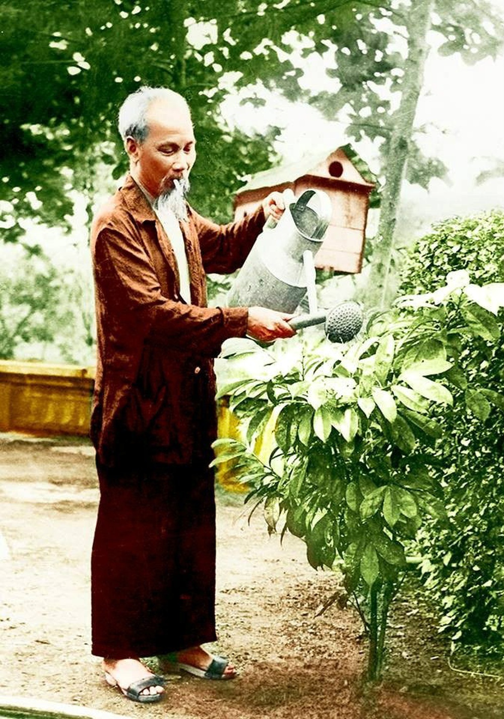 Học Bác lòng ta trong sáng hơn - Bài 1: Yêu từng ngọn lúa, mỗi cành hoa - Ảnh 4.