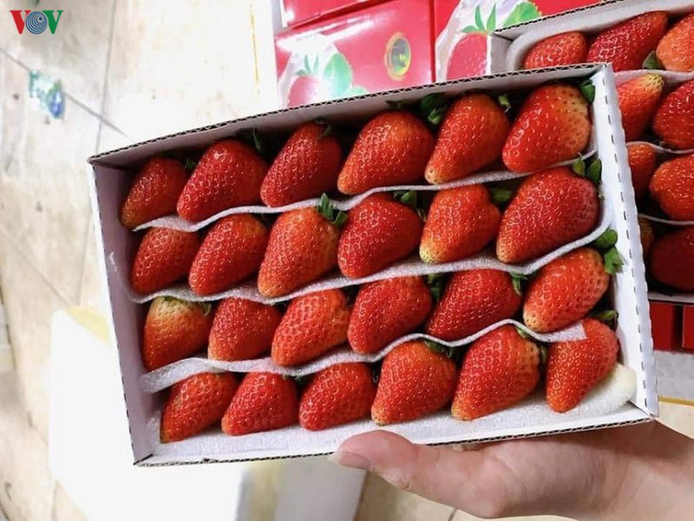 Nhập nhèm xuất xứ hoa quả, người tiêu dùng nhận “trái đắng” - Ảnh 2.