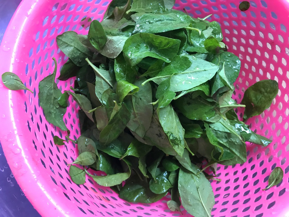 4 món ăn bổ thận cường dương nổi tiếng từ cổ chí kim: Nguyên liệu dễ kiếm, chữa nhiều bệnh - Ảnh 5.