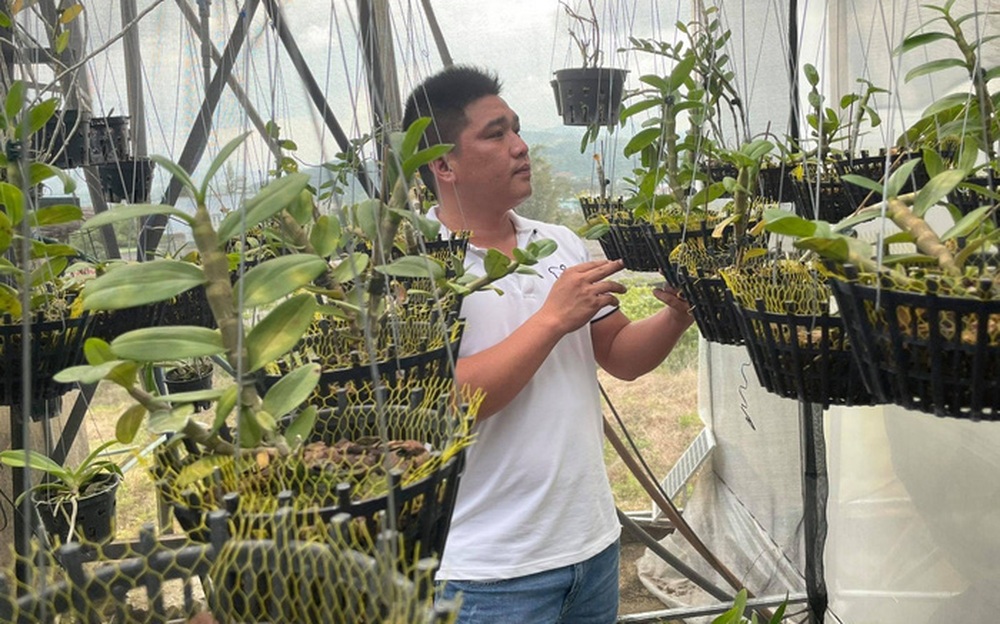 Ông chủ vườn lan 9x Lê Văn Nam chia sẻ niềm đam mê lan