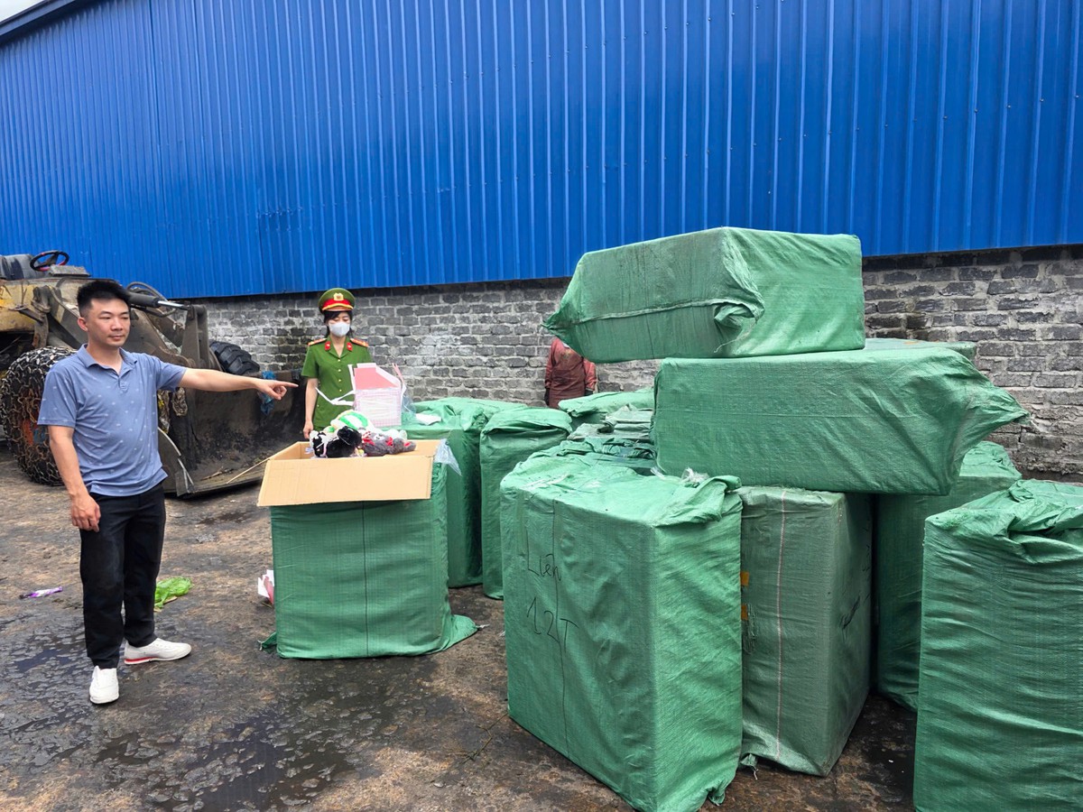 Phát hiện hàng nghìn con gấu bông 