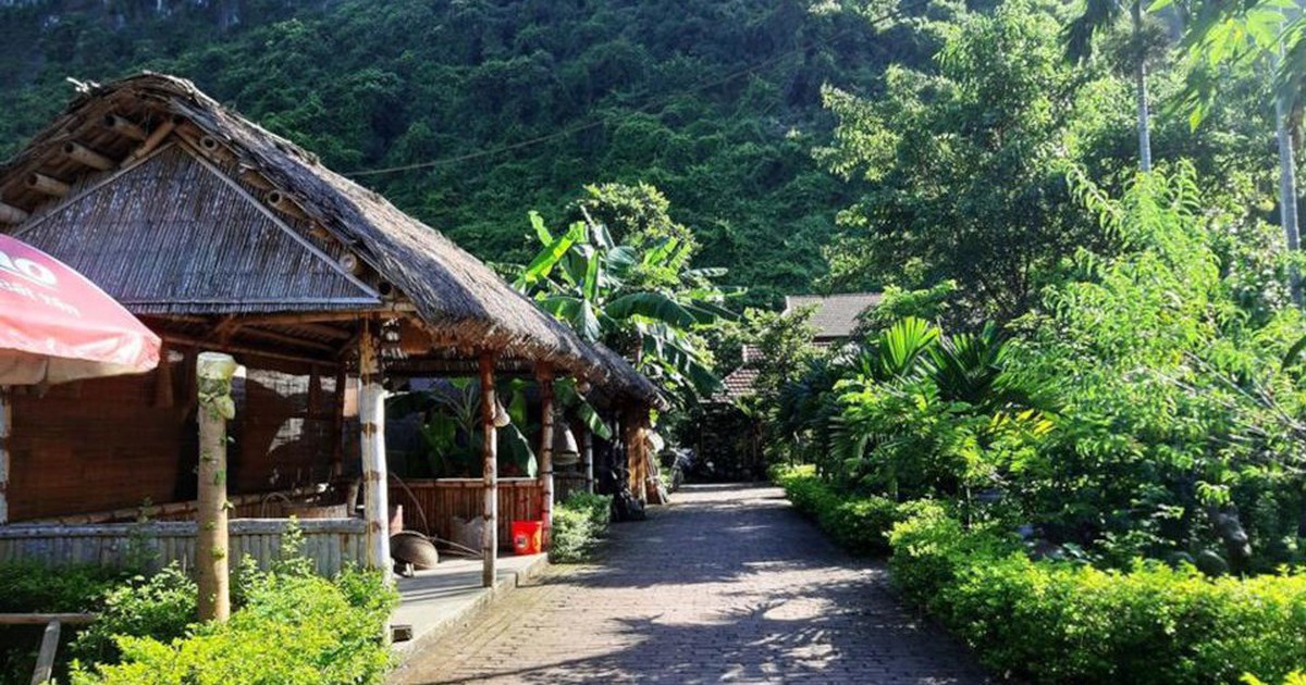 Việt Nam có ngôi làng 89 hộ dân, 297 người cùng sinh sống, được giao nhiệm vụ đặc biệt: Sở hữu đặc điểm rừng - làng - biển hiếm có, nằm trong không gian được UNESCO công nhận cách đây 22 năm