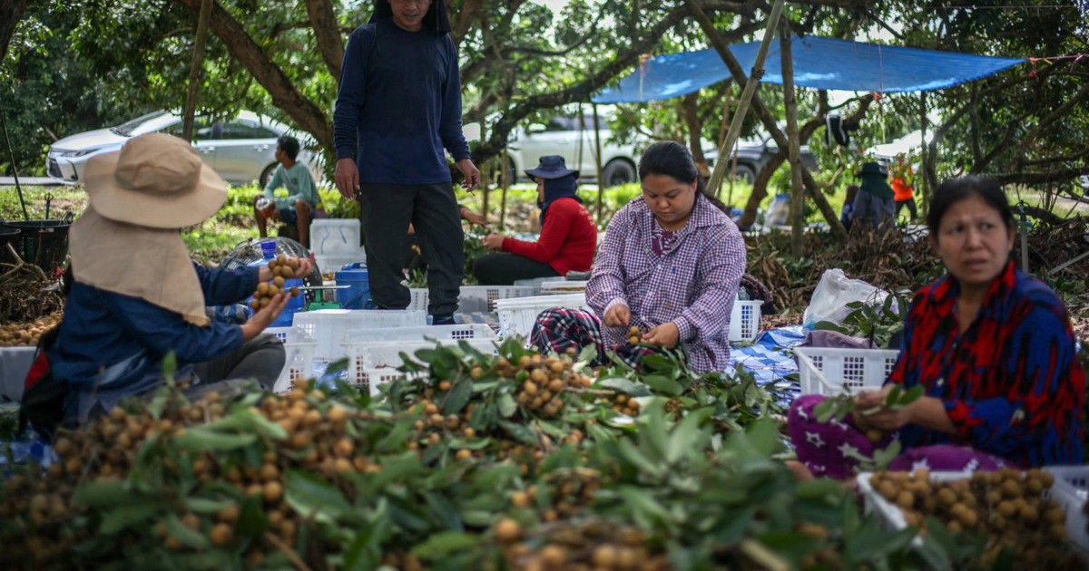 Thái Lan "đau đầu" vì Campuchia, Myanmar, chỉ đang "tiêm thuốc giảm đau để điều trị"