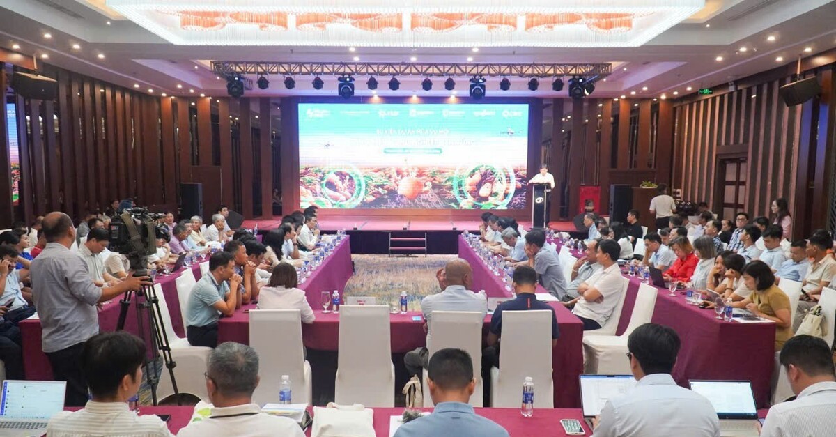 Ứng dụng công nghệ giúp nông dân trồng khoai tây thu 73 triệu/hecta