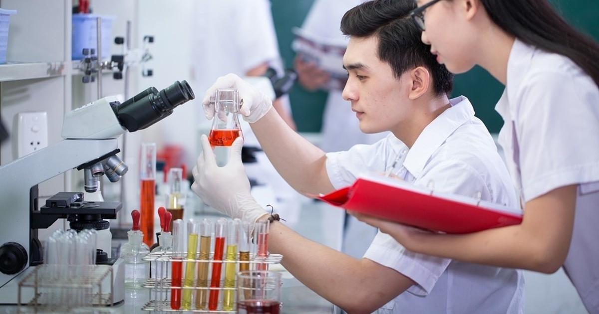 Đề xuất nhân tài được lựa chọn cộng sự, quyết định mức lương thưởng