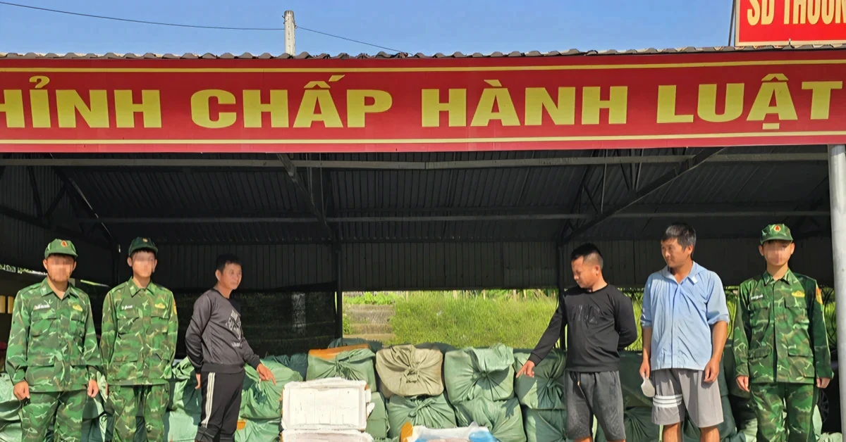 Phát hiện hơn 6 tấn nầm lợn, trứng gà non bốc mùi ở biên giới Quảng Ninh