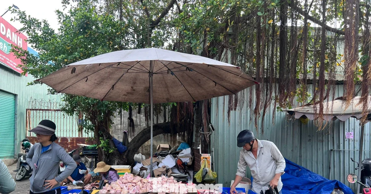 Thịt đông lạnh nhập khẩu: Mua càng nhiều, giá càng rẻ