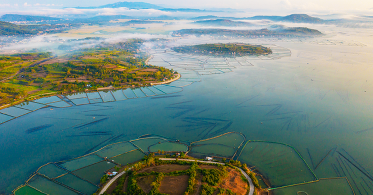 “Ông lớn” xây dựng Trung Quốc cùng Vingroup xây cầu Tứ Liên muốn đầu tư ít nhất 3,5 tỷ USD vào một tỉnh miền Trung có diện tích rộng thứ 3 cả nước