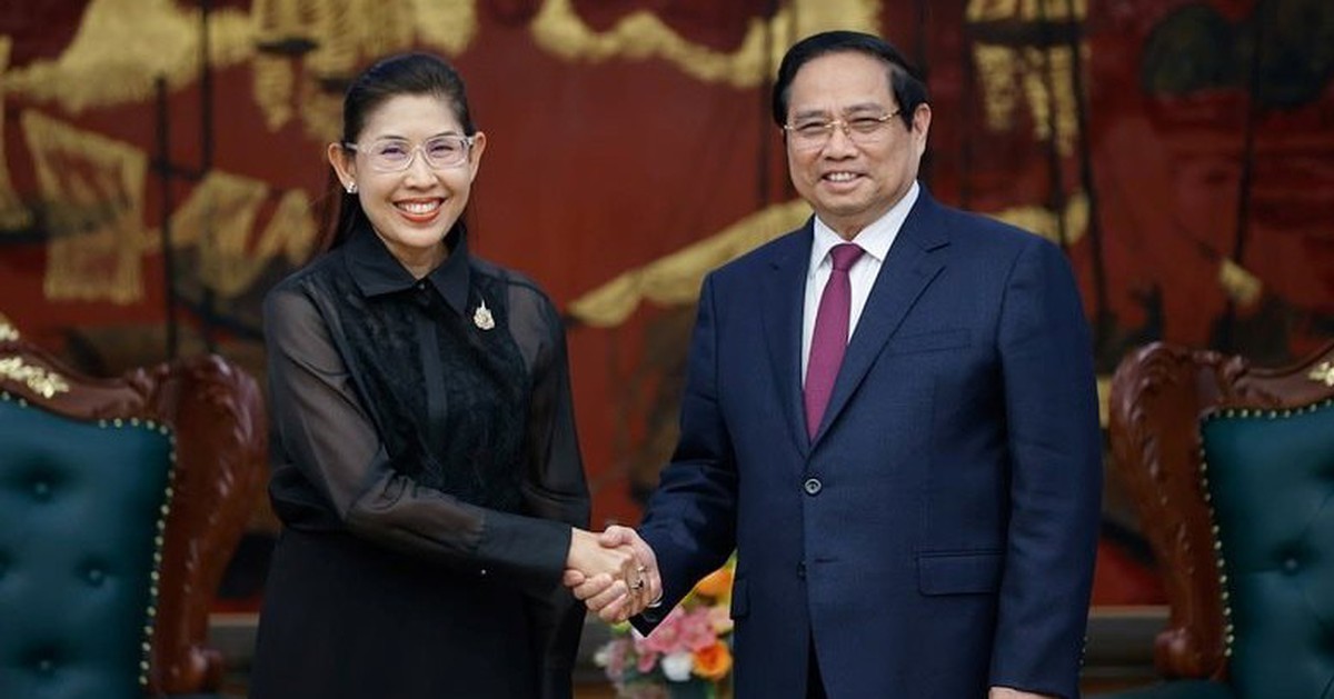 Gặp Đại sứ Thái Lan, Thủ tướng đề nghị nước này đảm bảo cung ứng nhiên liệu cho 1 lĩnh vực của Việt Nam