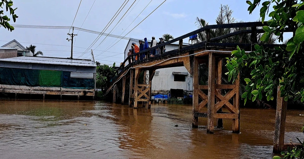 Truy tìm người đàn ông bỏ lại xe máy rồi nhảy cầu tại Đồng Tháp