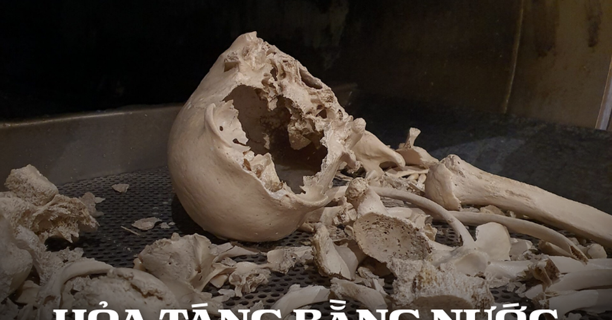 Phân hủy thi thể thành... nước rồi đổ xuống cống: Phương pháp mai táng thân thiện môi trường hay tận cùng của sự đáng sợ?