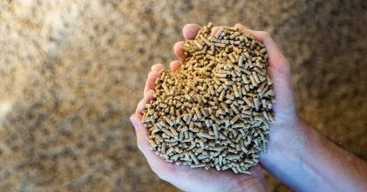 Căng thẳng Trung Đông: Trung Quốc gặp khó với một ngành công nghiệp đang dẫn đầu thế giới