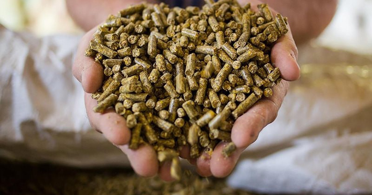 "Mỏ vàng" 250 triệu USD: Loại mặt hàng "phụ phẩm" của Việt Nam đang được Trung Quốc săn đón ráo riết