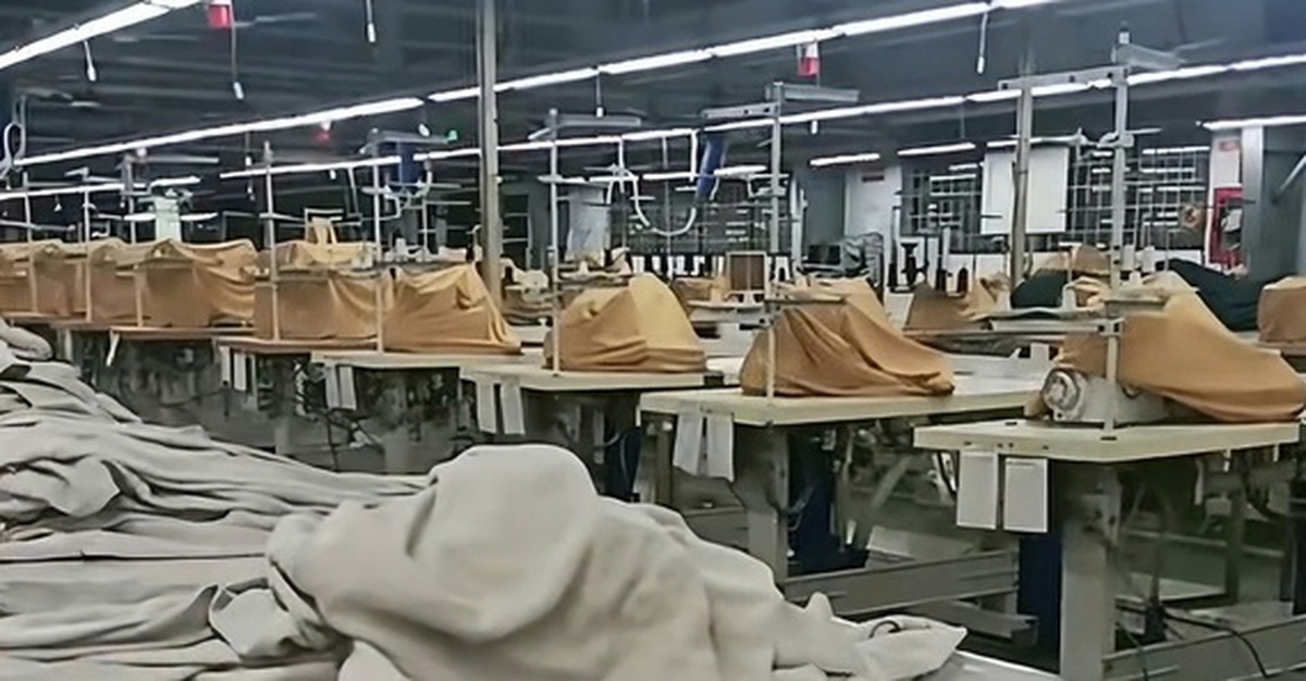 Bị nợ lương từ 6 tháng, người lao động có quyền yêu cầu áp dụng thủ tục phá sản doanh nghiệp