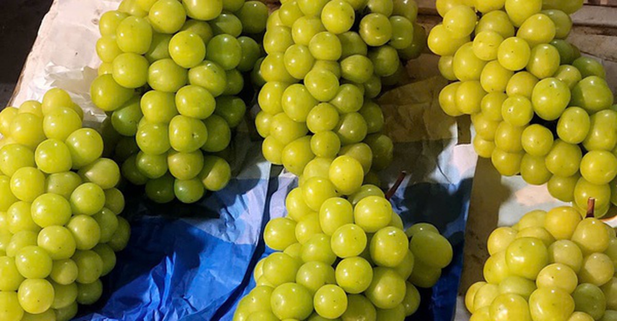 Việt Nam chi hàng trăm triệu USD nhập khẩu nho tươi Trung Quốc