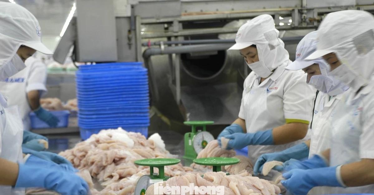 Nhà hàng sushi trong nhóm ‘khó tính’ nhất thế giới dùng cá tra Việt Nam