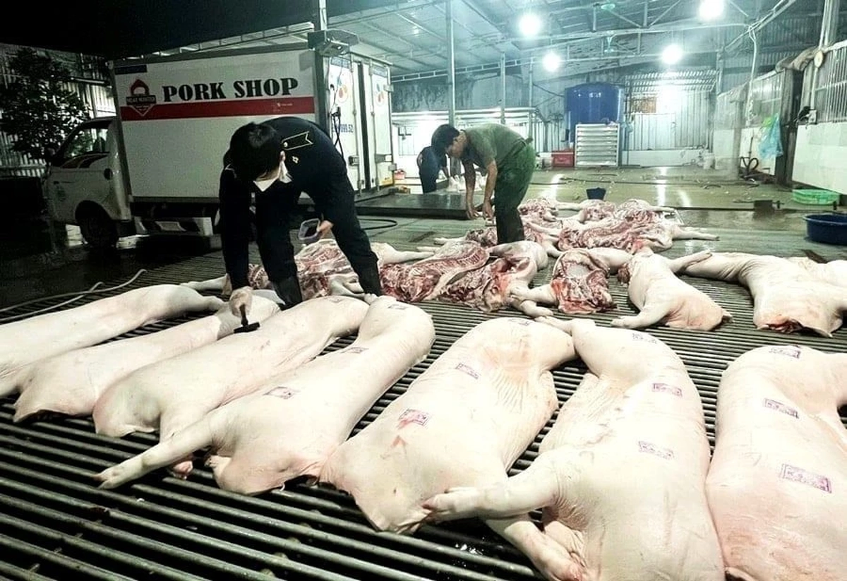Vụ thịt lợn dịch vào bếp ăn: Nói thẳng về trách nhiệm của ngành nông nghiệp