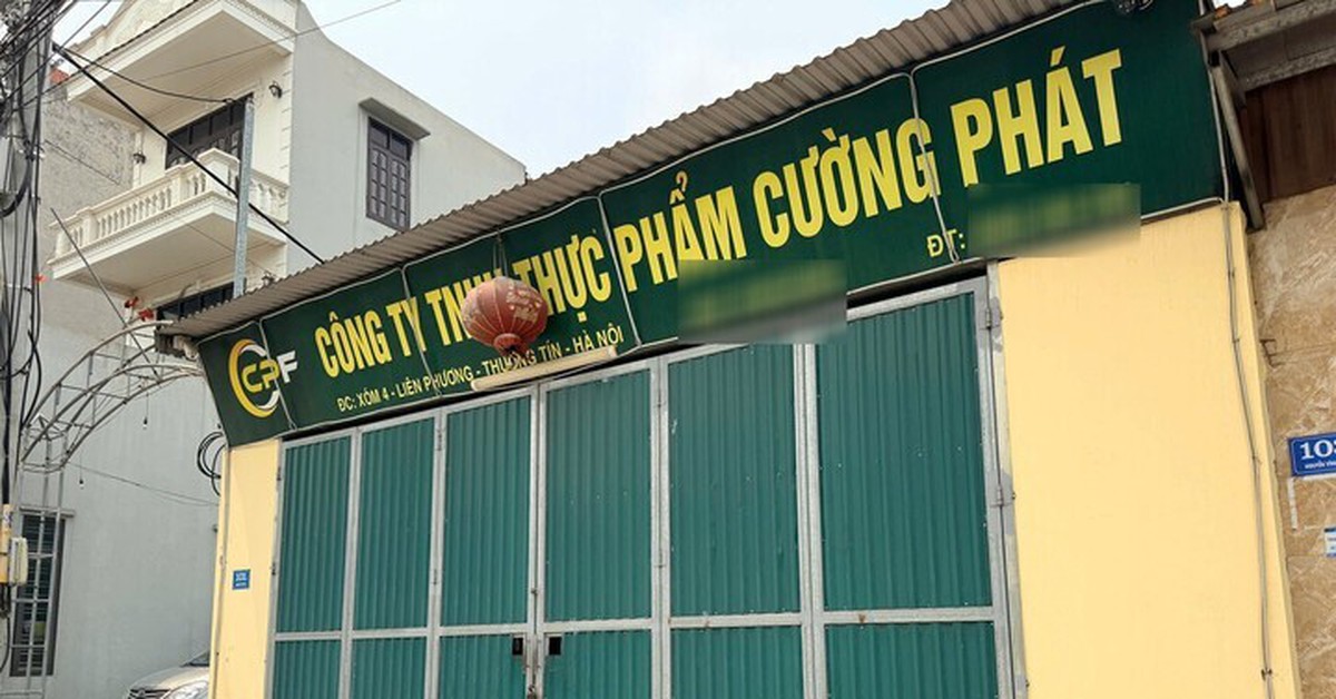 300 tấn thịt lợn bệnh ra thị trường: Doanh nghiệp suất ăn khẳng định không tiếp tay