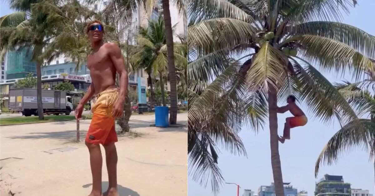 Chàng Tây du lịch Đà Nẵng hái dừa thoăn thoắt khiến dân mạng phục lăn