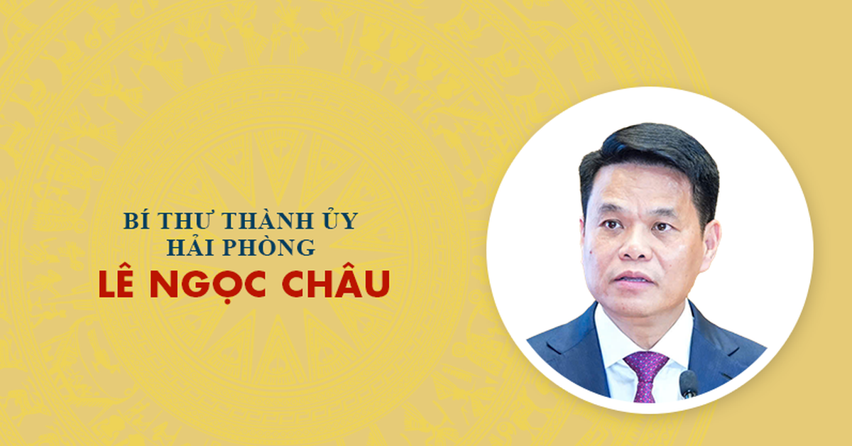 Infographic: Sự nghiệp tân Bí thư Thành ủy Hải Phòng Lê Ngọc Châu