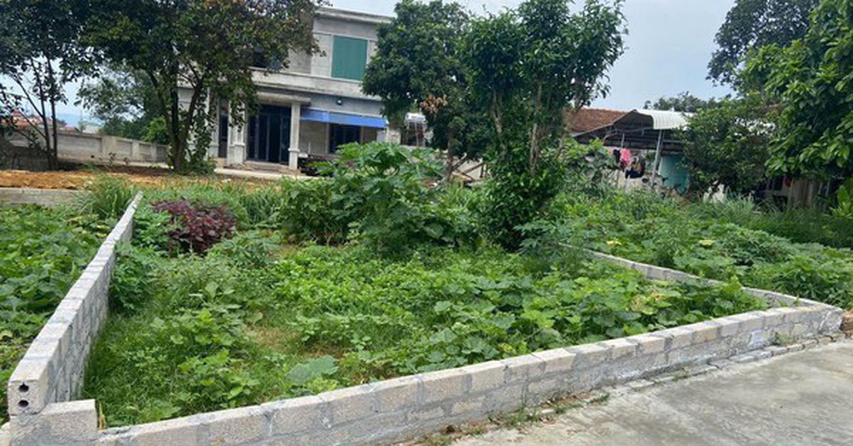 Nhà chồng cho đất nhưng không cho tôi đứng tên dù tôi bỏ tiền xây nhà": 2 chiến lược khôn ngoan phụ nữ thông minh sẽ biết