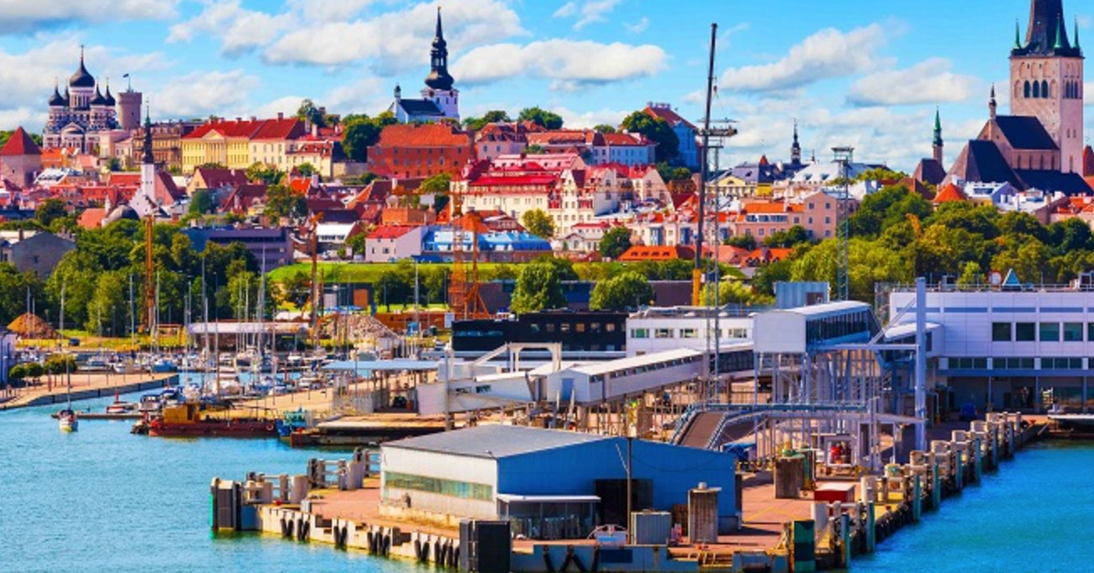 Đóng thuế tới 50% thu nhập nhưng vẫn hạnh phúc:...