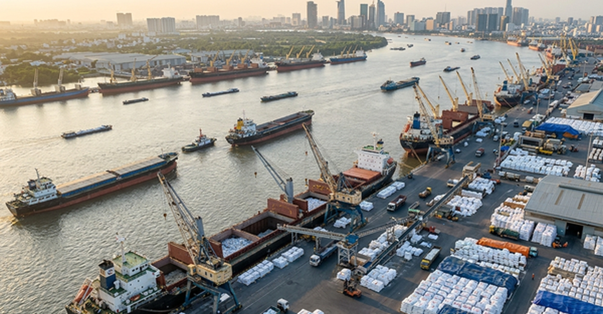 77 tàu cập cảng mang theo hơn nửa triệu tấn mặt hàng xuất khẩu chiến lược: 2 nước láng giềng mang tin vui lớn cho Việt Nam