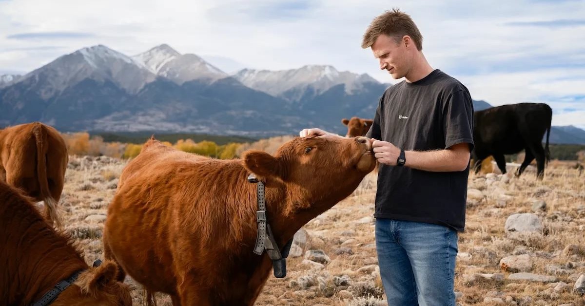 9 năm ám ảnh với vòng cổ bò, CEO 30 tuổi bị chê ngớ ngẩn khi khởi nghiệp, cuối cùng dựng lên startup 2 tỷ USD