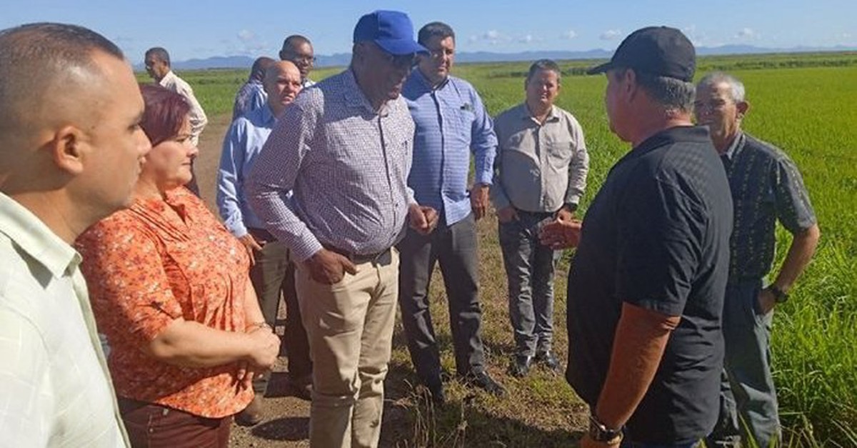 Cứ thứ Hai hàng tuần, nhiều người VN và nông dân Cuba cùng nhau làm 1 việc ý nghĩa trước khi ra cánh đồng