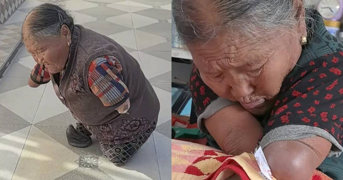 Mẹ không tay chân nuôi 3 con trưởng thành bằng miệng