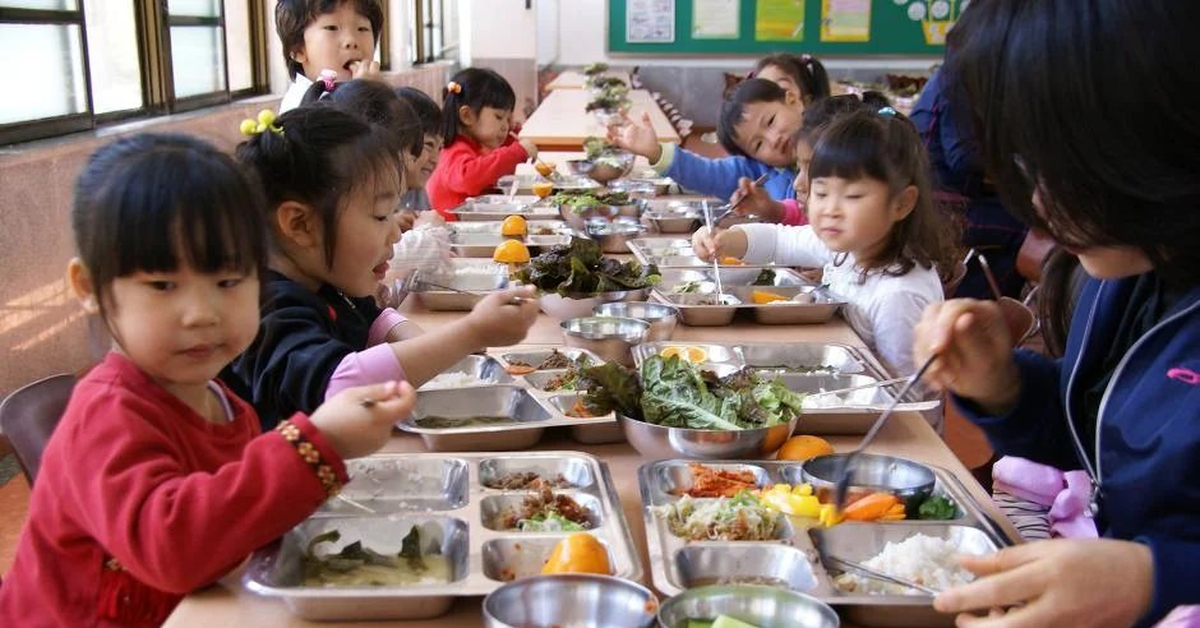 Bữa ăn bán trú tại một quốc gia châu Á khiến 9 triệu người phát cuồng: Khay ăn có tới 7 ngăn, nhà nước trợ giá tới 80%, giáo viên dinh dưỡng lên thực đơn hàng ngày