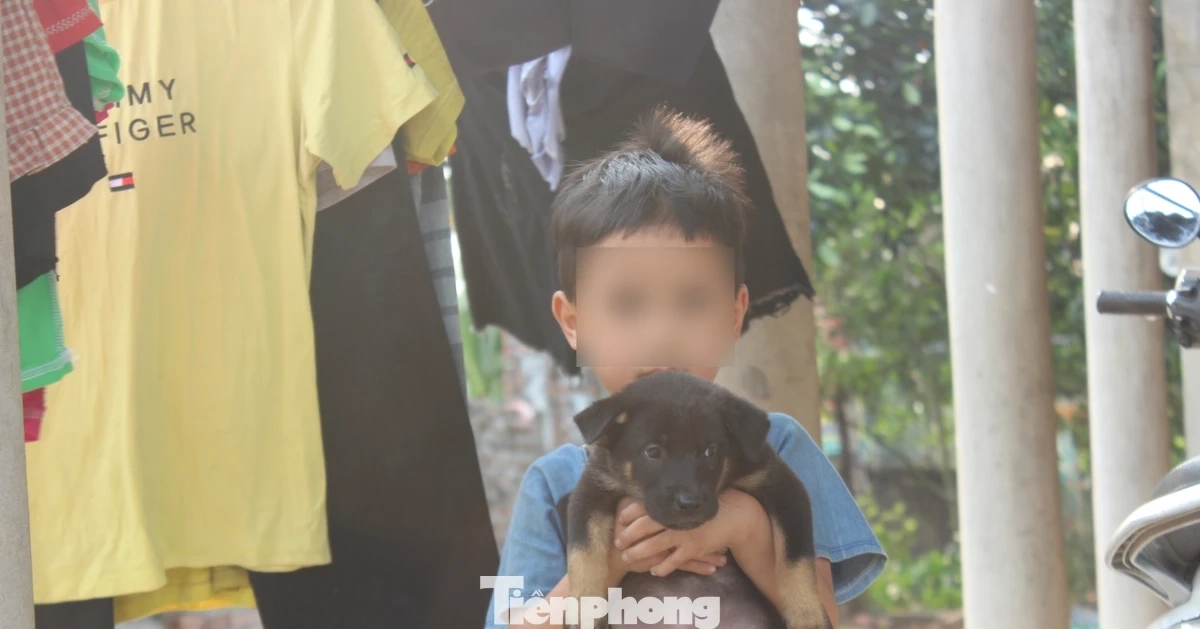 Chuyện lạ ở Phú Thọ: Hai đứa trẻ 7 và 11 tuổi không giấy khai sinh, không được đến trường