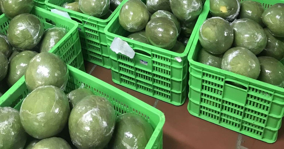 Tin vui: Loại quả Việt Nam trồng hơn 100.000 ha vừa chính thức có “visa” sang Trung Quốc