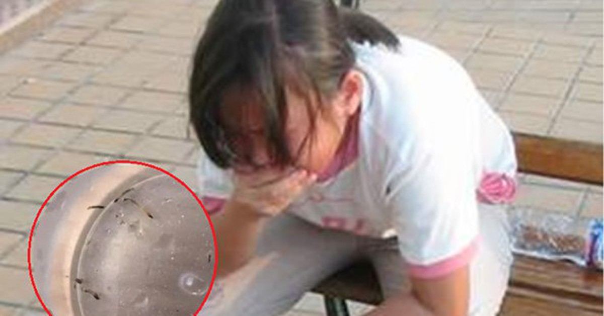 Bé gái nôn ra “giun sống” suốt hơn 1 tháng, thủ phạm lại là loài đang có trong nhiều gia đình