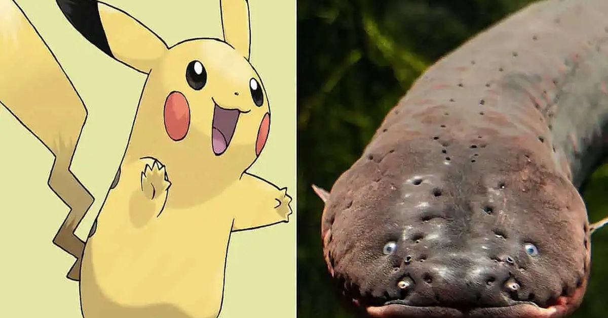 Bí ẩn về 7 loài động vật có sức mạnh tương đồng với Pokémon huyền thoại