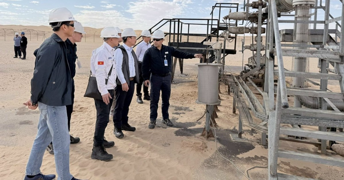 Đấu thầu thăm dò 7 lô dầu khí ở quốc gia Bắc Phi xuất khẩu khí tự nhiên lớn thứ 2 thế giới, DN Việt Nam nào xuất hiện?