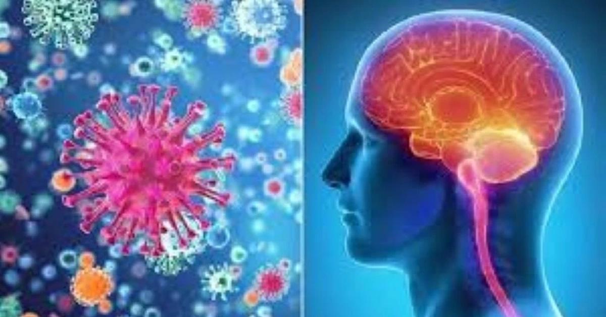 Khống chế thành công ổ dịch viêm não mô cầu ở Cà Mau