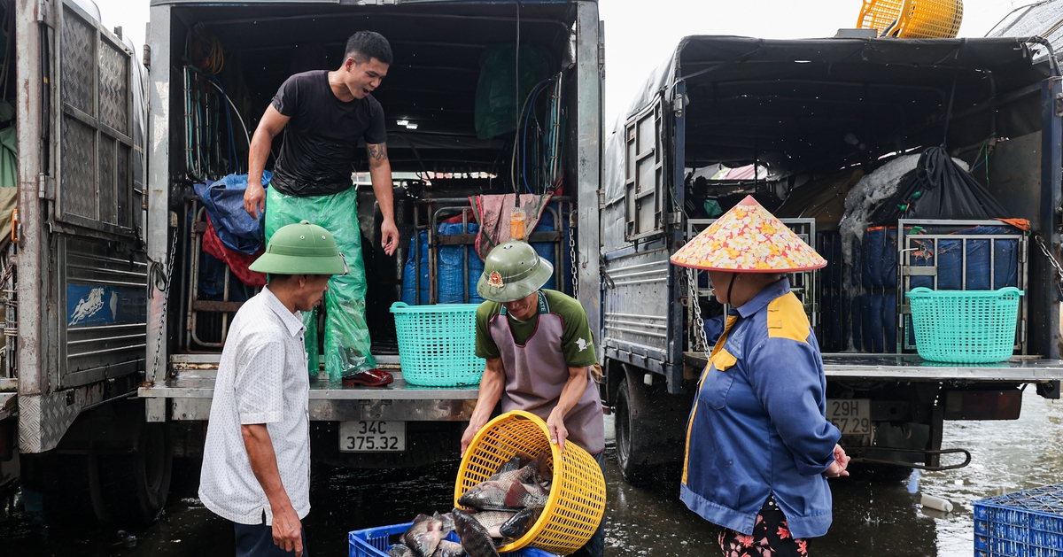 Cảnh ô nhiễm kéo dài tại chợ cá lớn nhất Hà Nội trước ngày bị giải tỏa
