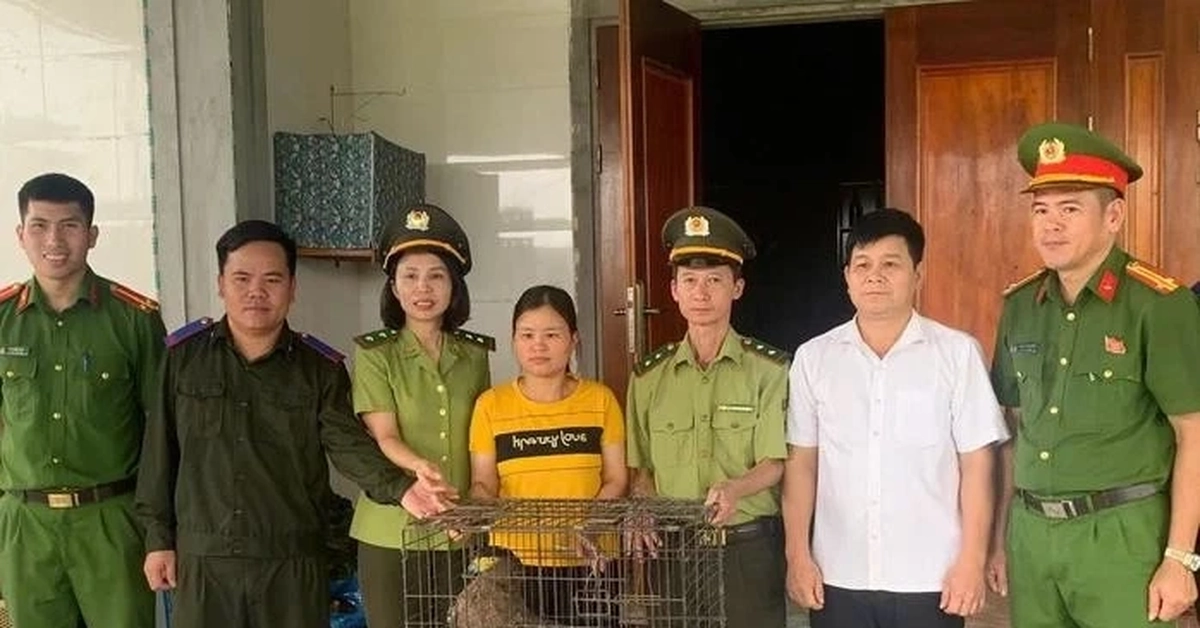 Động vật "lạ" xuất hiện trong khu dân cư