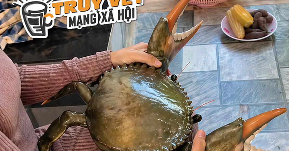 Clip con cua 7 kg ở An Giang nổi tiếng mạng xã hội với 4,4 triệu lượt xem