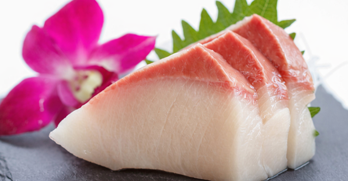 Trung Quốc, Nhật Bản vẫn đang loay hoay, Việt Nam đã chính thức làm chủ quy trình nhân giống loài cá 1 triệu/kg